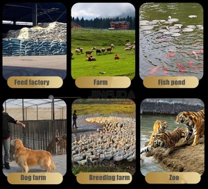 Extrusora de Alimento Flotante para Peces de Uso Comercial, Larga Vida Útil, para la Producción Global de Aceite de Pescado - Product Image 6