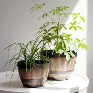 Venta al por mayor biodegradable decoración <span class=keywords><strong>de</strong></span> jardín al aire libre PP PE HDPE maceta <span class=keywords><strong>de</strong></span> plástico maceta <span class=keywords><strong>de</strong></span> barril <span class=keywords><strong>de</strong></span> <span class=keywords><strong>madera</strong></span> diseñado <span class=keywords><strong>para</strong></span> el balcón del hogar - Product Image 3