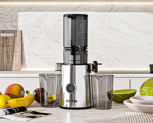 <span class=keywords><strong>Extracteur</strong></span> <span class=keywords><strong>de</strong></span> <span class=keywords><strong>jus</strong></span> puissant 250W à large ouverture en acier inoxydable pour légumes et fruits - Product Image 3