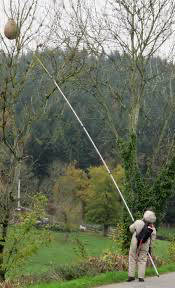Robusto poste de destrucción de nido de avispas de 20m poste de caza de pájaros poste telescópico de fibra de carbono 100% - Product Image 5