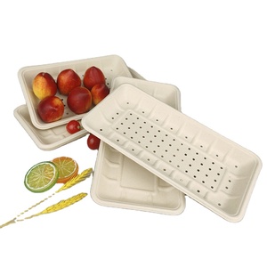 Biodegradable to go box pulp eco friendly disposable bagasse paper sushi plates and dishes