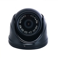 Lentes de Visión Nocturna CMOS Mini OEM ODM con LED IR, Alta Sensibilidad, para Sistemas de Seguridad Interiores y Exteriores, Blanco y Negro