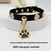 Designer-Hundehalsband aus genietetem Leder, personalisiert, grün, schwarz, rot, aus Rindsleder, mit glitzerndem Pfotenanhänger für Welpen