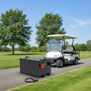 Batería de Litio OEM ODM de 51.2V 48V 200Ah 150Ah para Vehículos Eléctricos de Baja Velocidad/Carritos de Golf/Batería Ecológica de Litio GP51105 1.Built- - Product Image 4