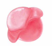Peony Peach Flavor <b>Gummy</b> <b>Candy</b> 150g Fruit Inspired Soft <b>Candy</b> with Juicy Center for Everyday Snacking - Product Image 4