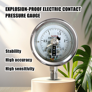 विस्फोट-प्रूफ स्टेनलेस स्टील इलेक्ट्रिक संपर्क औद्योगिक दबाव गेज ऊपरी/निचली सीमा सेटिंग्स 100 मिमी डायल 0-1000बार रेंज - Product Image 5
