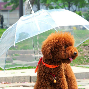 Paraguas para Mascotas, Perros y Gatos, para Exteriores, Supermercados - Product Image 5