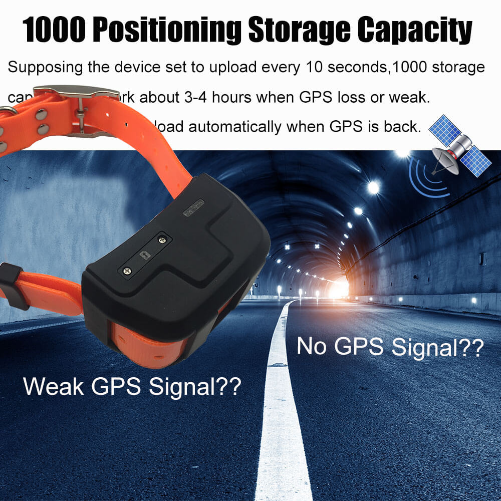 Ip67 Waterproof Hunting Dog Gps Tracker With 4000mah Buy Gps Tracker