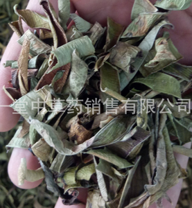 Feuilles d'aloès séchées de haute qualité nouvelles tiges d'<span class=keywords><strong>aloe</strong></span> <span class=keywords><strong>vera</strong></span> naturelles tranchées pour le thé - Product Image 2