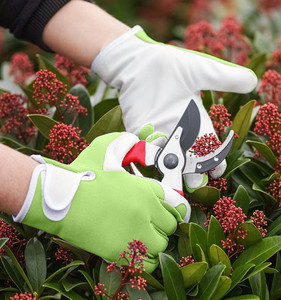 Gants de jardin en cuir de cochon de haute qualité, outils agricoles et de jardinage, résistants à la taille, conducteur - Product Image 5
