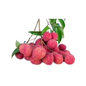 ลิ้นจี่สดจากเวียดนาม Luc ngan ที่มีผิวบางและมีกลิ่นหอมแรง - Product Image 1