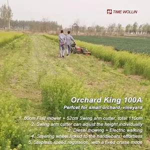 Orchard Under Tree Flail Mower Walk Behind-cortadora de árboles con disco de brazo oscilante-Orchard King 100A