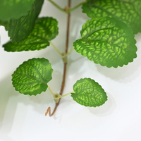 Karangan Bunga Natal Hijau 1.7m Daun Mentha Ivy Buatan Tanaman Rambat Hijau untuk Dekorasi Pesta Hiasan Dinding Pernikahan.