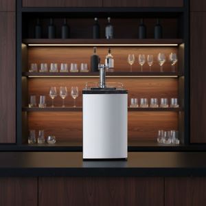 Grifo dispensador de cerveza de barril para Kegerator, refrigerador con compresor eléctrico de 166L, control electrónico de temperatura, doble zona, para uso doméstico y hotelero - Product Image 2