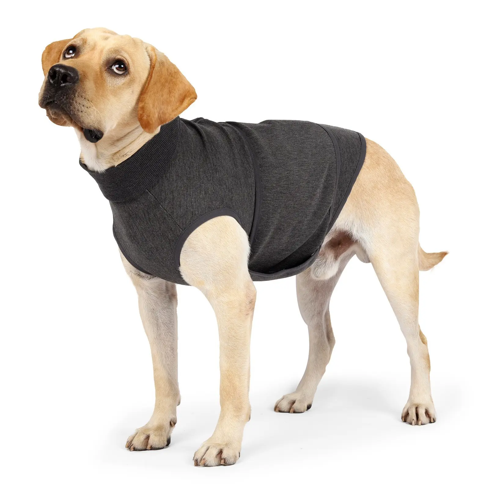 Compression Anxiety Vest For Dogs Thunder Jacket Calming Shirts For Dogs