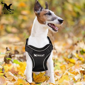 2021年流行の通気性のある猫用ハーネス、反射素材、無地、脱走防止、猫の散歩用 - Product Image 6