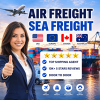 China nach USA Europa Kanada Australien Luft- und Seefracht-Spediteur Tür-zu-Tür DDP-Versand mit 24/7-Unterstützung Professioneller Service