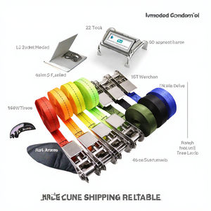 Sangle d'arrimage à cliquet rétractable automatique Eversun Heavy Duty 1 pouce x 10 pieds, fabriquée en PES durable, résistance à la rupture 800 kg - Product Image 3