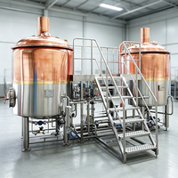 Équipement de brassage de bière haute productivité 100L-1000L, cuve de fermentation à commande PLC, chauffage à vapeur, usine de brasserie en SUS304