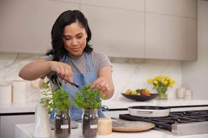 Jardin d'herbes aromatiques en pot Mason pour cuisine par Ayesha Curry - <span class=keywords><strong>Basilic</strong></span> et menthe biologiques pour usage intérieur - Product Image 4