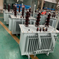 Transformateur toroïdal triphasé immergé dans l'huile série H59 H61 33KV 30-300kVA Cuivre/Aluminium IEC60076