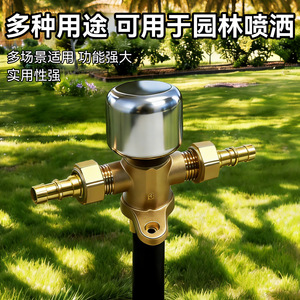 Cilindro de presión para pulverizador eléctrico Yu Jian, totalmente de cobre, desmontable, para pulverización de jardín, accesorios de jardinería para el hogar - Product Image 5