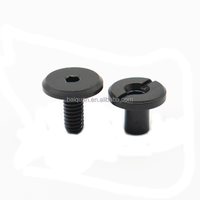 Ventes directes usine Chine : Vis Chicago en acier inoxydable / Vis à tête cylindrique / Vis pour cloisons sèches / Vis Chicago noires en acier au carbone pour étui