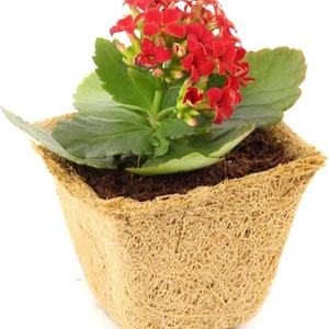 Jardinière suspendue en métal, pot à fleurs en coco, en fibre de coco - Product Image 1