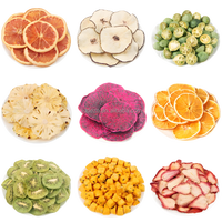 Best Verkopende Oranje Stoomdroger Aardbei Gas Droogmachine Dragon Fruit Warmtepomp Droger