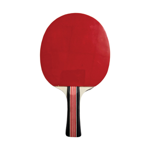 <span class=keywords><strong>Raquette</strong></span> de tennis de table en bois pur 5 plis, caoutchouc hautement élastique, pagaie de <span class=keywords><strong>ping</strong></span>-<span class=keywords><strong>pong</strong></span> pour débutants, entraînement et divertissement en intérieur - Product Image 5