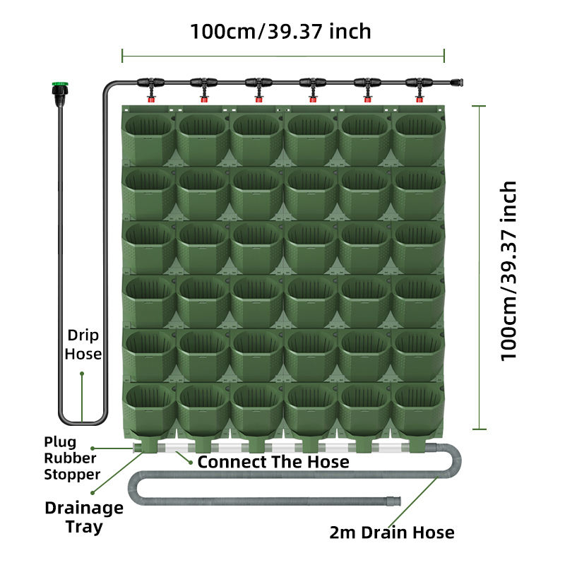 1 mètre carré (sans minuterie d'eau)