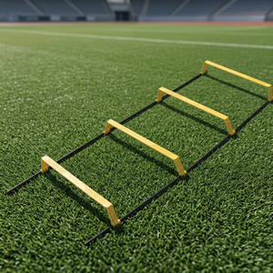 Elevated <b>Ladder</b> - Product Image 1
