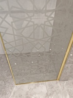 Ventes directes d'usine Neo Angle Verre trempé Aluminium Pivot Semi-sans cadre Cabine de douche