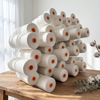 Fil à broder et à crocheter épais, semi-mat, TFO, haute ténacité, filé en anneau, 16s/2, 100% polyester, écologique, résistant à l'abrasion