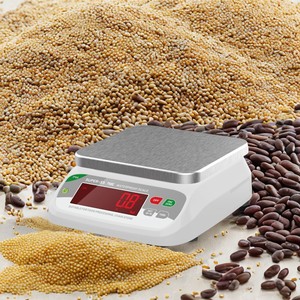 OEM/ODM 맞춤형 지원으로 1g 전자 벤치 스케일 정확한 ABS 소재 계량 균형 - Product Image 5