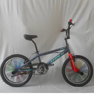 BMX-Bicicleta de 20 pulgadas para niños, de estilo libre cicla, barata, para Escuela antigua, 20 pulgadas