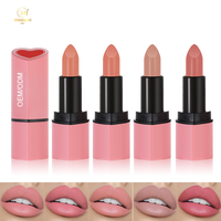Kit de Lèvres de Luxe Haute Qualité Marque Privée – Ensemble de Rouges à Lèvres Mats Couleurs Personnalisées Imperméables Hydratants en Forme de Cœur Anti-transfert