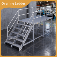 Plataforma de Mantenimiento de Aluminio Resistente a la Corrosión para Cuartos Limpios con Escalera de Paso y Barandillas de Seguridad Completas