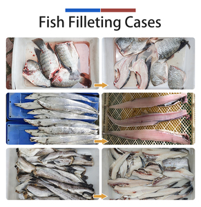 Máquina Fileteadora de Pescado Automática, Rebanadora Industrial de Pescado 40-60 piezas/min para Tilapia, Caballa, Pescado de Mar, Planta de Procesamiento de Pescado, CE - Product Image 2