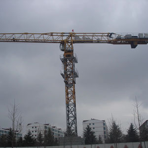 Grúa Torre PT7032 con Capacidad de Carga de 16 Toneladas, Nueva, para la Industria de la Construcción, con Componentes Principales: Motor, Engranaje y Rodamiento - Product Image 1