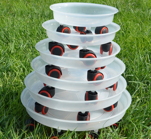 Soucoupe transparente <span class=keywords><strong>avec</strong></span> 4 roues universelles, chariot de <span class=keywords><strong>Pot</strong></span> de fleur, support de <span class=keywords><strong>Pot</strong></span> de jardinière - Product Image 1