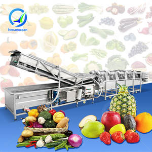 Equipo de Lavado y Secado de Vegetales OCEAN, Línea de Lavado y Clasificación de Frutas con Burbujas de Aire y Secadora - Product Image 1