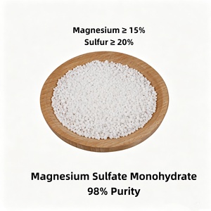 Engrais granulaire <span class=keywords><strong>de</strong></span> <span class=keywords><strong>sulfate</strong></span> <span class=keywords><strong>de</strong></span> magnésium monohydraté (Kieserite) <span class=keywords><strong>de</strong></span> qualité agricole, soluble dans l'eau, pureté 98 %, pour l'amélioration des sols - Product Image 1