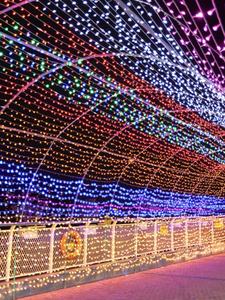 <span class=keywords><strong>Guirlande</strong></span> de guirlandes lumineuses <span class=keywords><strong>LED</strong></span> 10M/20M/30M/40M/<span class=keywords><strong>50M</strong></span> Décorations extérieures étanches pour Noël et le Ramadan - Product Image 5