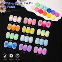 Vendeeni 5 effets néon Pat Pat Ombre Gel vernis à ongles coffret Collection 12 couleurs OEM usage multiple Gel vernis à ongles fournitures d'art des ongles