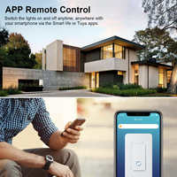 Interruptor de luz de pared Wifi inteligente de EE. UU. Aplicación y control de voz con configuración de tiempo Interruptor de PC de un solo polo 10A Red NFC