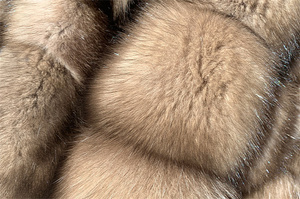 Manteau court de fourrure de zibeline le plus cher de la meilleure qualité avec manches complètes pour la chaleur Couleur marron Design Starlight Style doux - Product Image 6