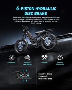 Bicicleta Eléctrica de Montaña Eahora Romeo II, Motor Trasero de 150W, Batería de Litio de 52V 60Ah, Cuadro de Acero al Carbono, Suspensión, 16MPH - Product Image 6