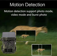 Prix usine OEM/ODM Caméra de chasse extérieure étanche Caméra d'essai de vision nocturne cachée avec WiFi