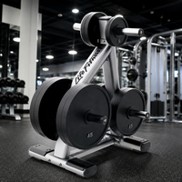 Support de rangement vertical commercial pour plaques de poids, support pour plaques de bumper de 2 pouces, pour entraînement de force en salle de sport